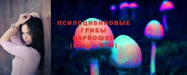 Альфа ПВП Армянск