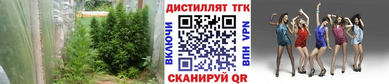 ТГК THC oil  Поворино 